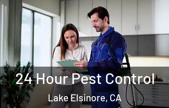  24 Hour Pest Control Lake Elsinore, CA