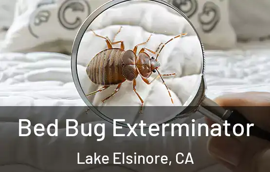  Bed Bug Exterminator Lake Elsinore, CA