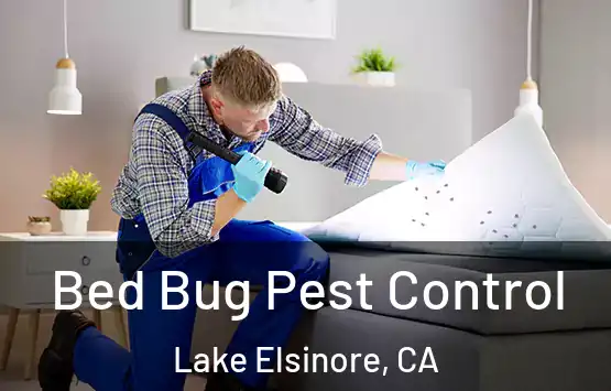  Bed Bug Pest Control Lake Elsinore, CA