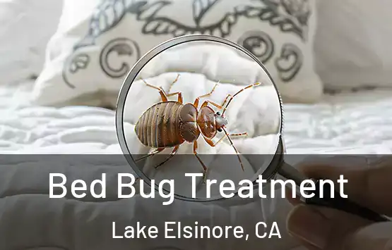 Bed Bug Treatment Lake Elsinore, CA