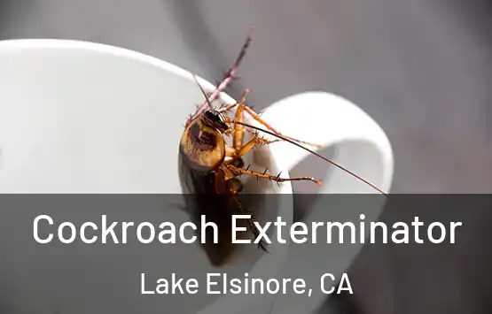  Cockroach Exterminator Lake Elsinore, CA