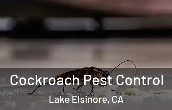  Cockroach Pest Control Lake Elsinore, CA