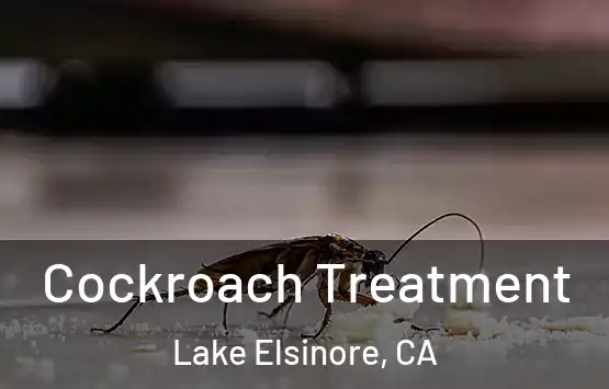  Cockroach Treatment Lake Elsinore, CA
