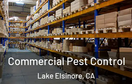  Commercial Pest Control Lake Elsinore, CA