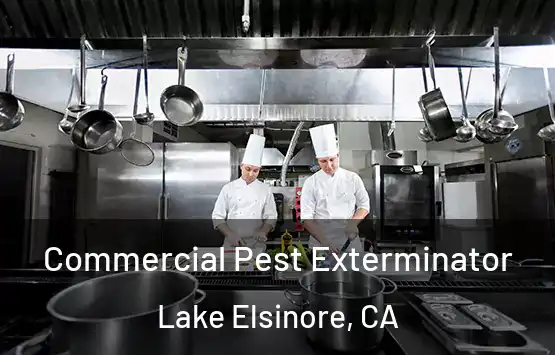  Commercial Pest Exterminator Lake Elsinore, CA