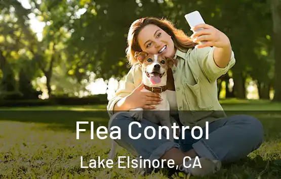  Flea Control Lake Elsinore, CA
