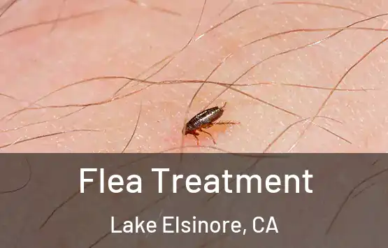  Flea Treatment Lake Elsinore, CA