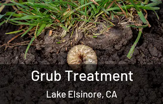 Grub Treatment Lake Elsinore, CA