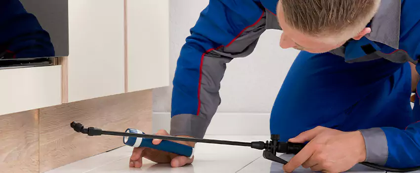 Ant Control for Bedrooms in Lake Elsinore, CA