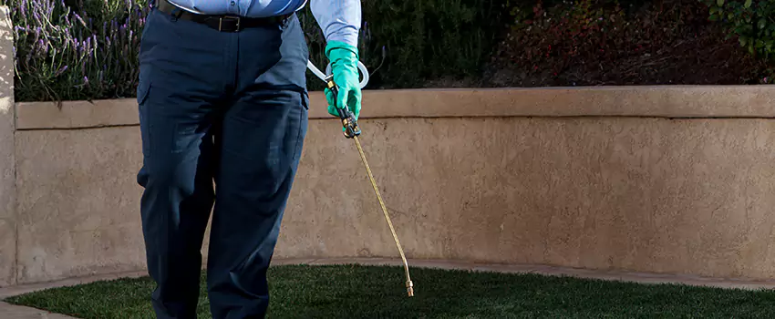 Emergency Pest Extermination for Children and Pets Lake Elsinore, CA