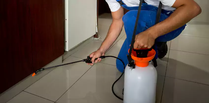 Commercial Flea Exterminator Company in Lake Elsinore, CA