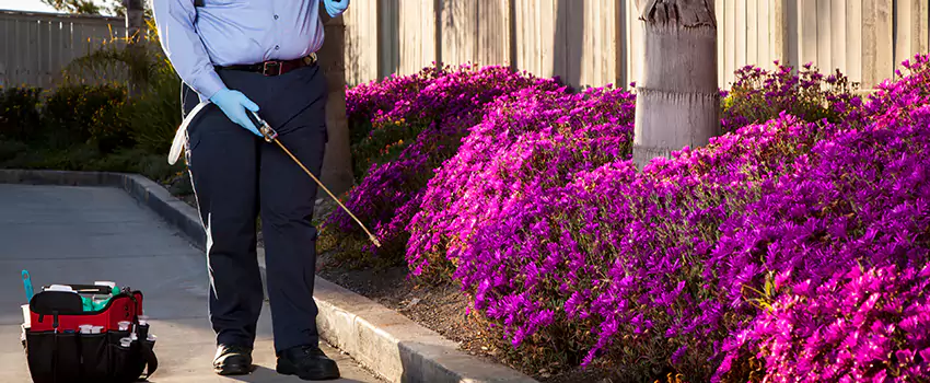 Pest Extermination for Bedrooms in Lake Elsinore, CA