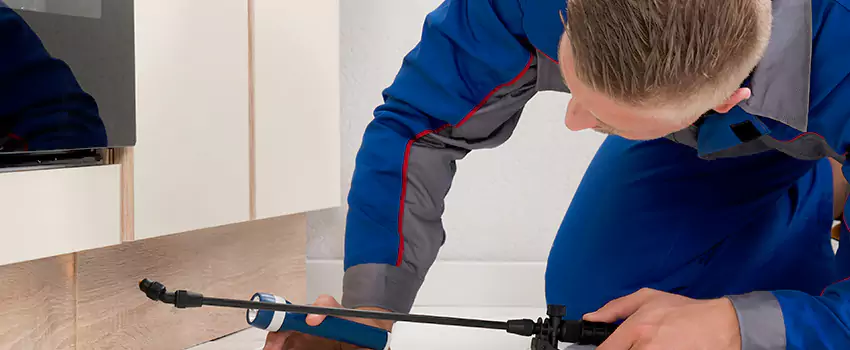 Termite Control for Children and Pets in Lake Elsinore, CA