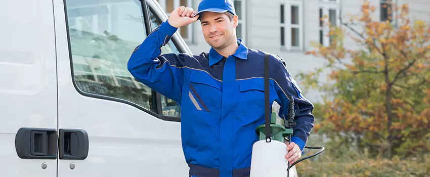 Whitefly Treatment for Bedrooms Lake Elsinore, CA