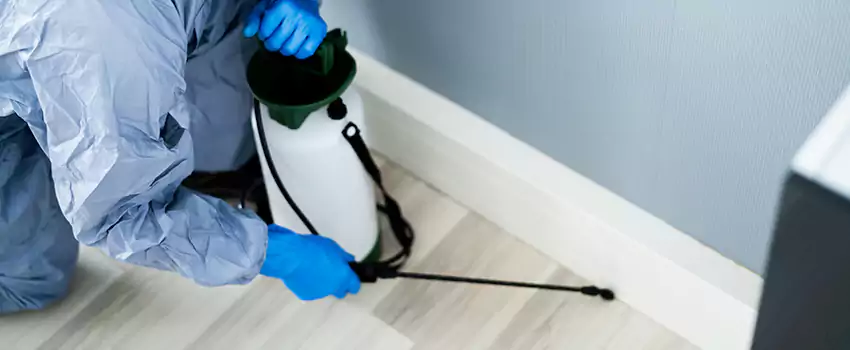 cockroach-exterminator in Lake Elsinore, CA