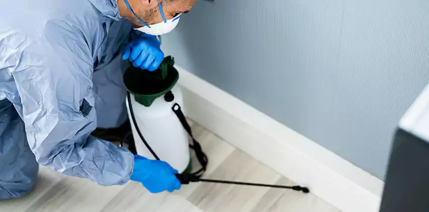 commercial-pest-exterminator in Lake Elsinore, CA