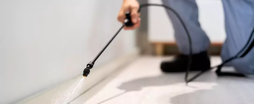 pest-exterminator in Lake Elsinore, CA