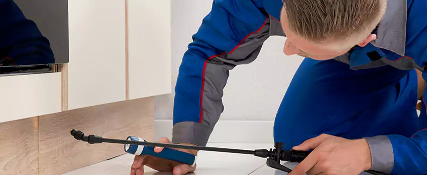 Pest Exterminator Company in Lake Elsinore, CA