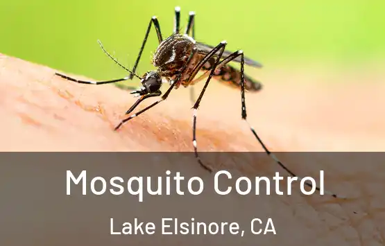  Mosquito Control Lake Elsinore, CA