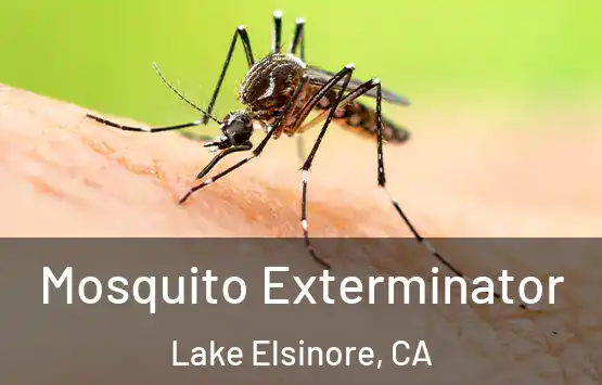  Mosquito Exterminator Lake Elsinore, CA