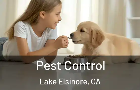 Pest Control Lake Elsinore, CA