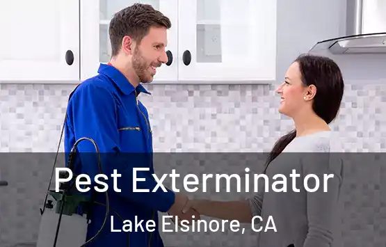  Pest Exterminator Lake Elsinore, CA