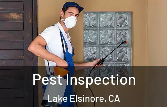  Pest Inspection Lake Elsinore, CA
