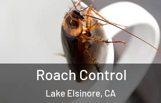  Roach Control Lake Elsinore, CA