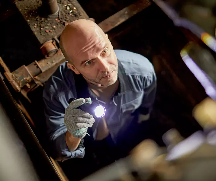 About Pest Inspection Lake Elsinore