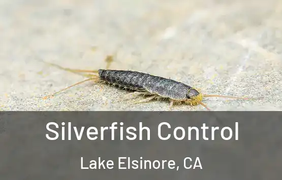  Silverfish Control Lake Elsinore, CA