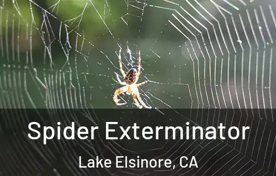  Spider Exterminator Lake Elsinore, CA