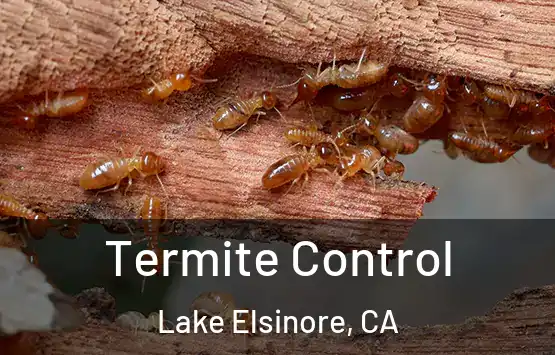  Termite Control Lake Elsinore, CA