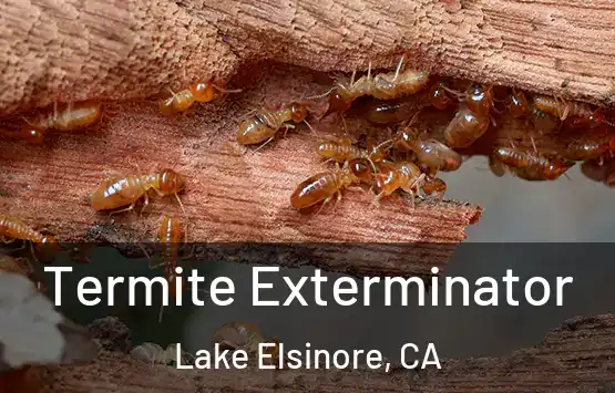  Termite Exterminator Lake Elsinore, CA