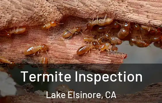  Termite Inspection Lake Elsinore, CA