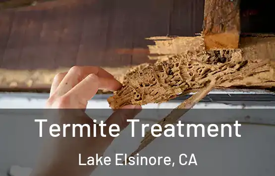  Termite Treatment Lake Elsinore, CA