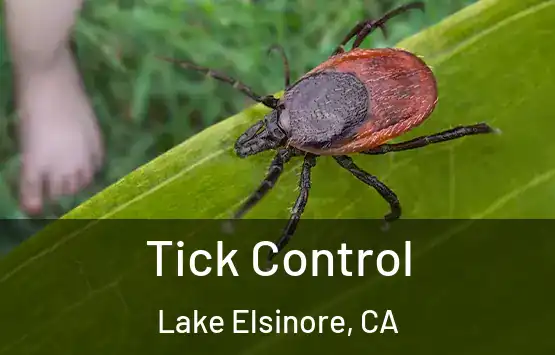  Tick Control Lake Elsinore, CA